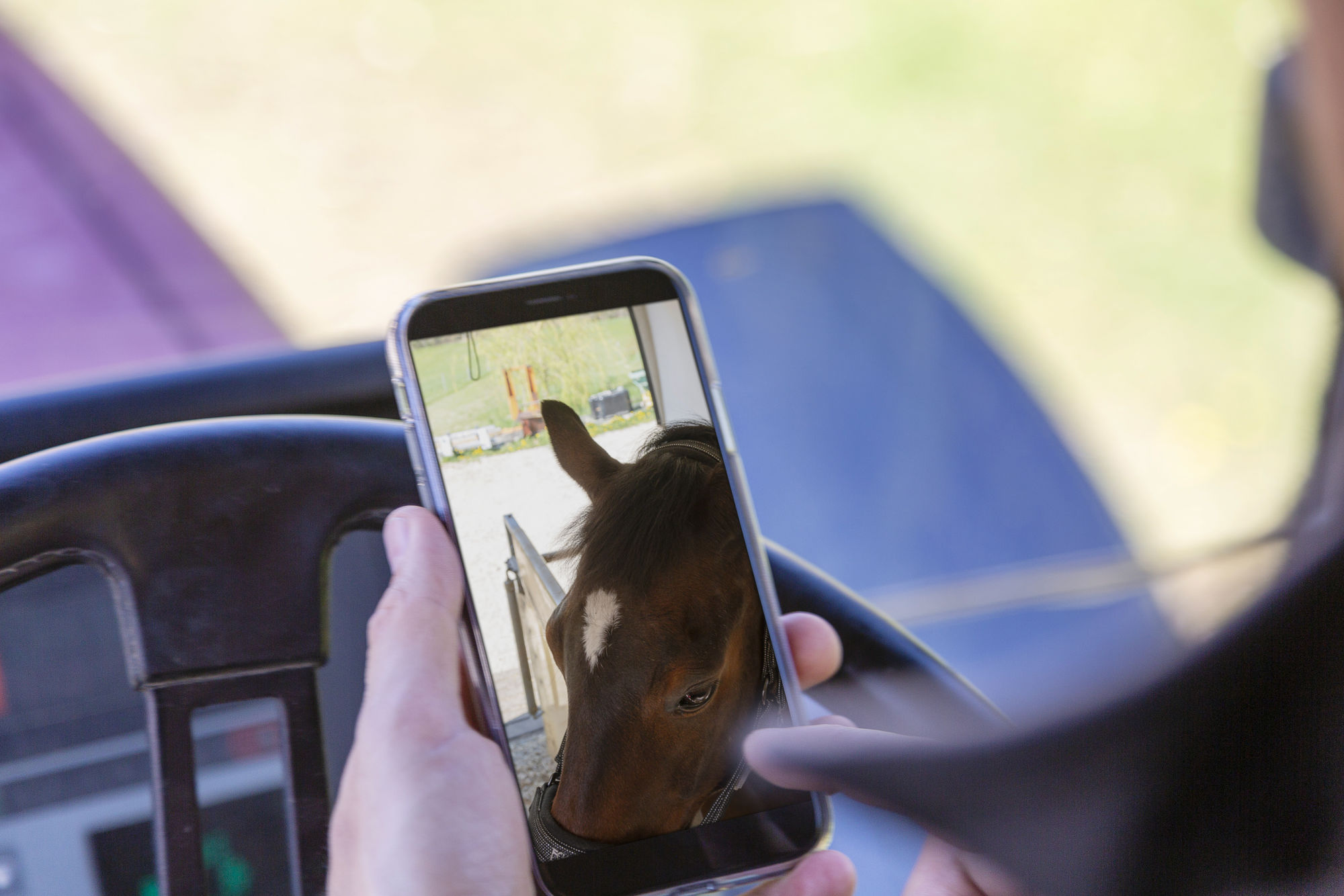 SmartCam Akku/HD, schwarz, Stallüberwachung/Anhängerüberwachung
