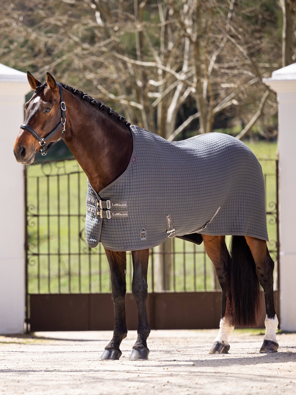 LeMieux Arika Clima-Tek Rug, Abschwitzdecke