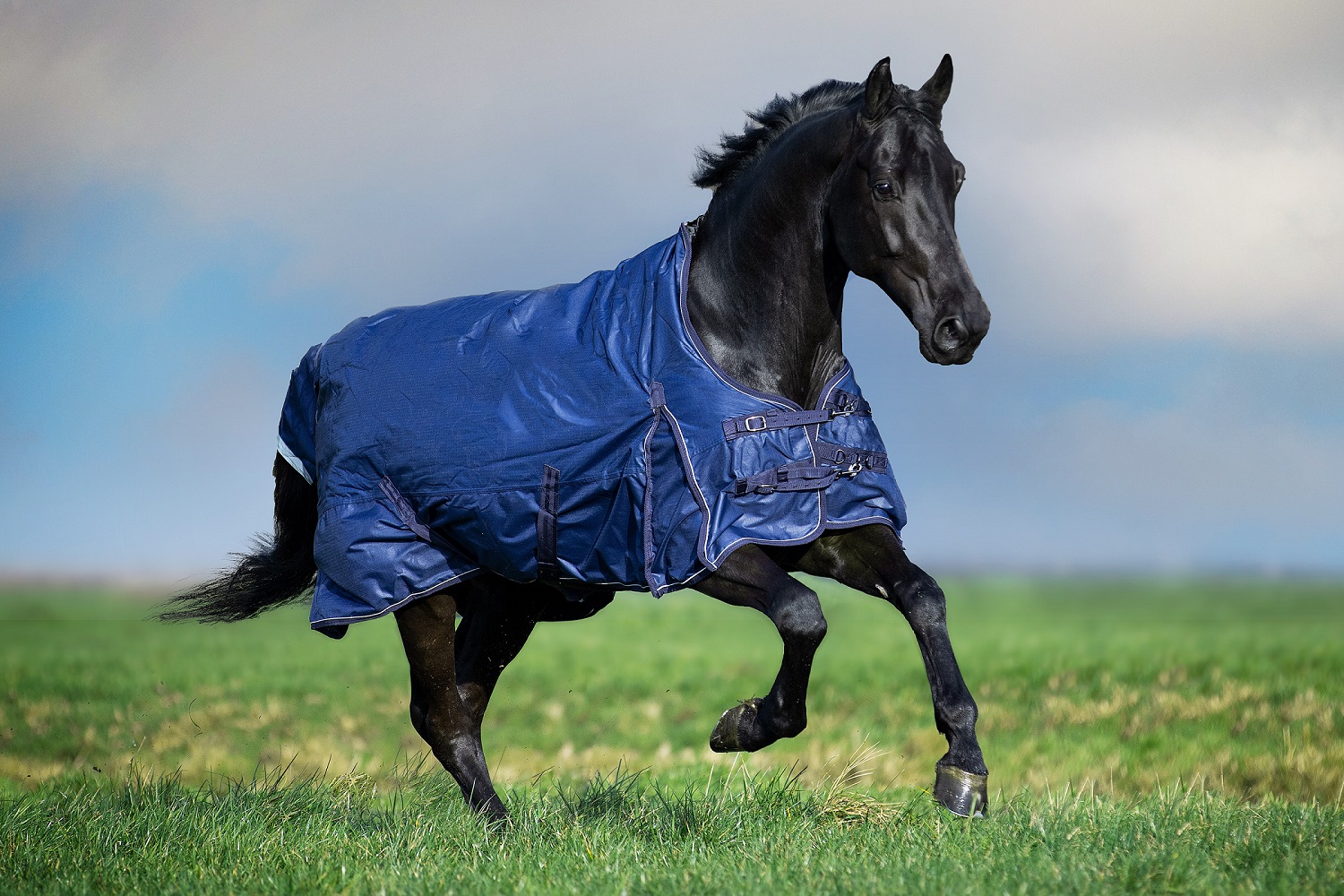 Imperial Riding Outdoordecke IRHSuper-dry, 100g Füllung, 600D
