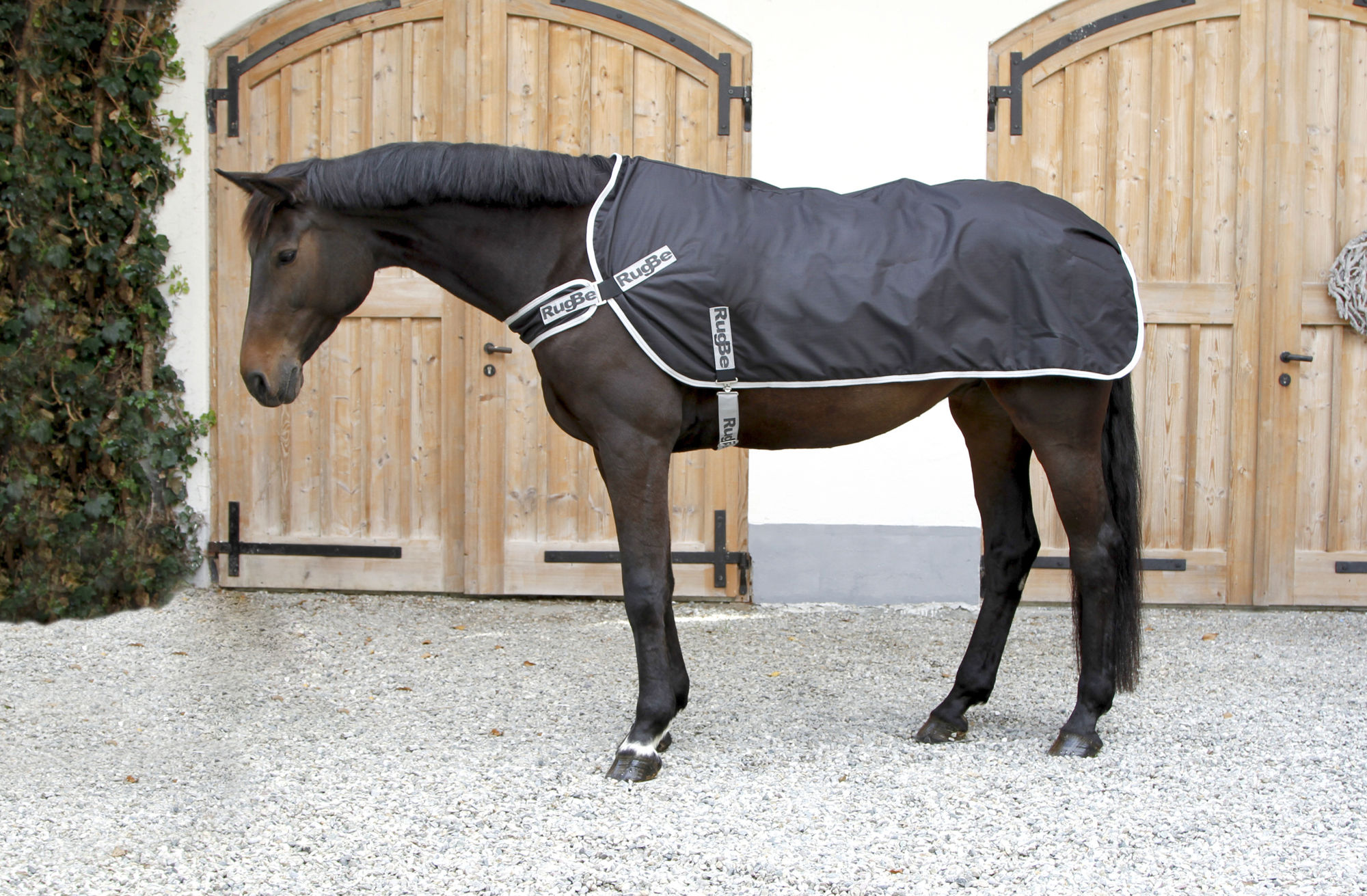 Covalliero Führanlagendecke RugBe schwarz
