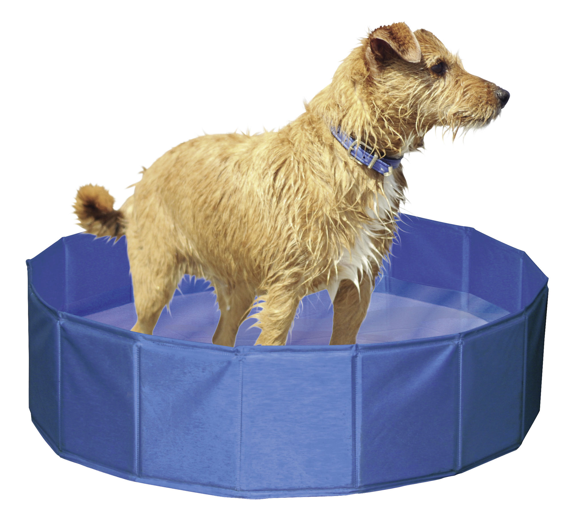 Kerbl Hundepool, blau