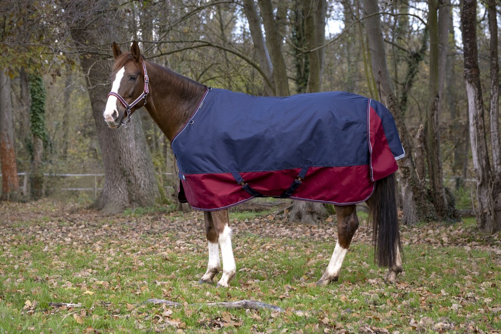 EQUITHÈME "TYREX 1200D" Decke, 450g Füllung, marineblau/bordeaux, Weidedecke, Pferdedecke