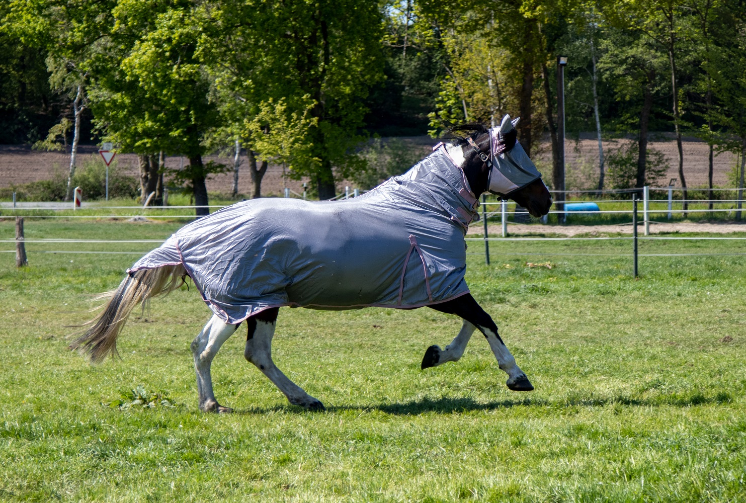 Fliegendecke "Grey", mit Halsteil, grau