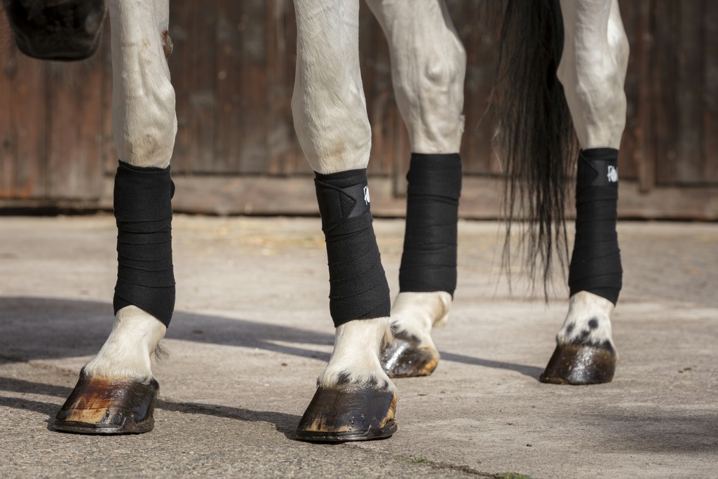 RIDING WORLD doppelseitige Polobandagen, 3 m