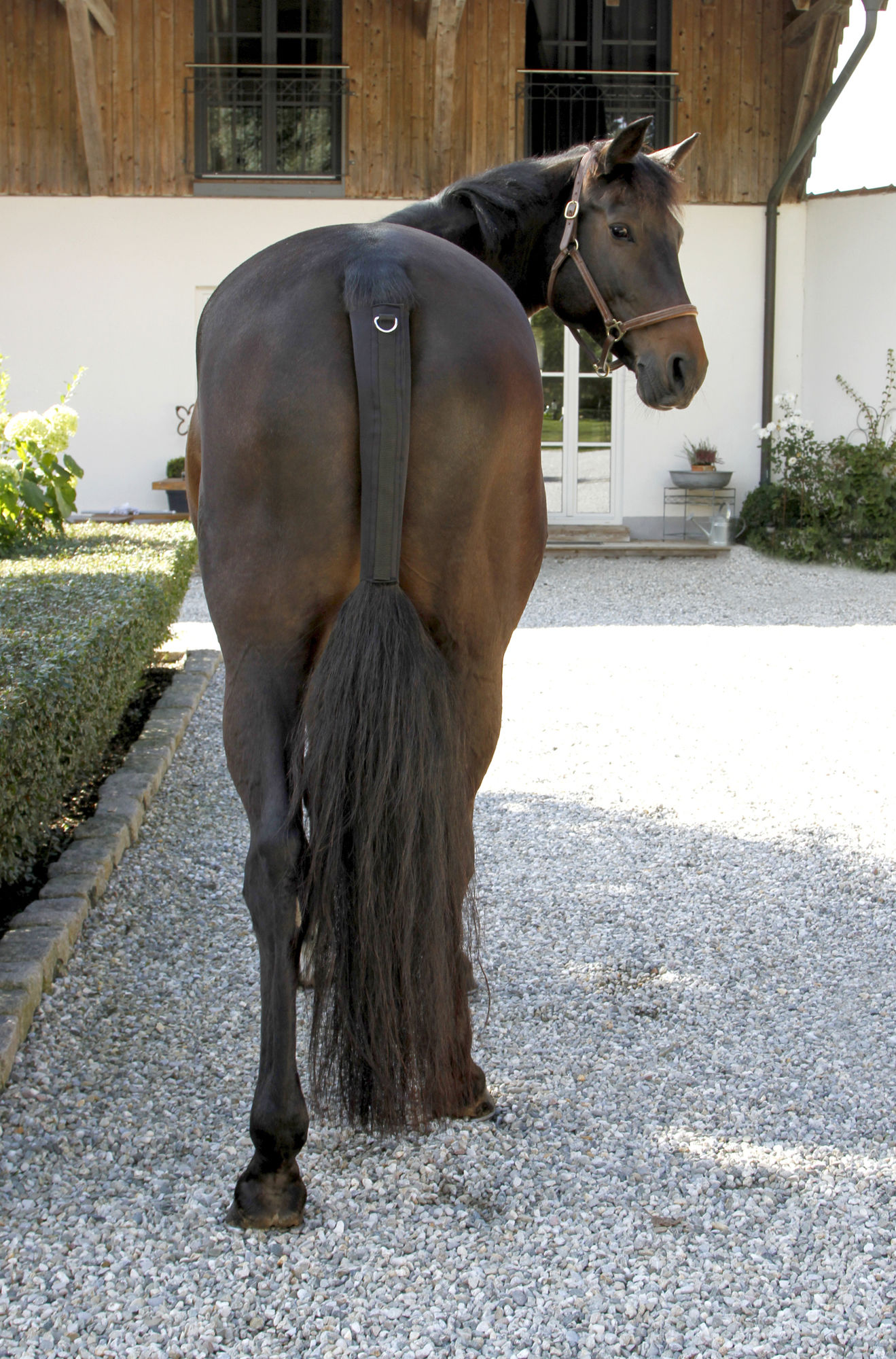 Covalliero Schweifschoner mit Ring aus Synthetikkautschuk, schwarz