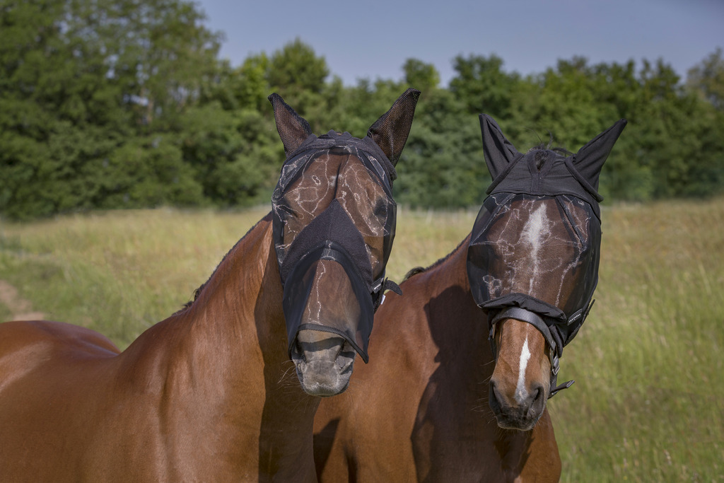 EQUITHÈME "Coux" Antifliegenmaske
