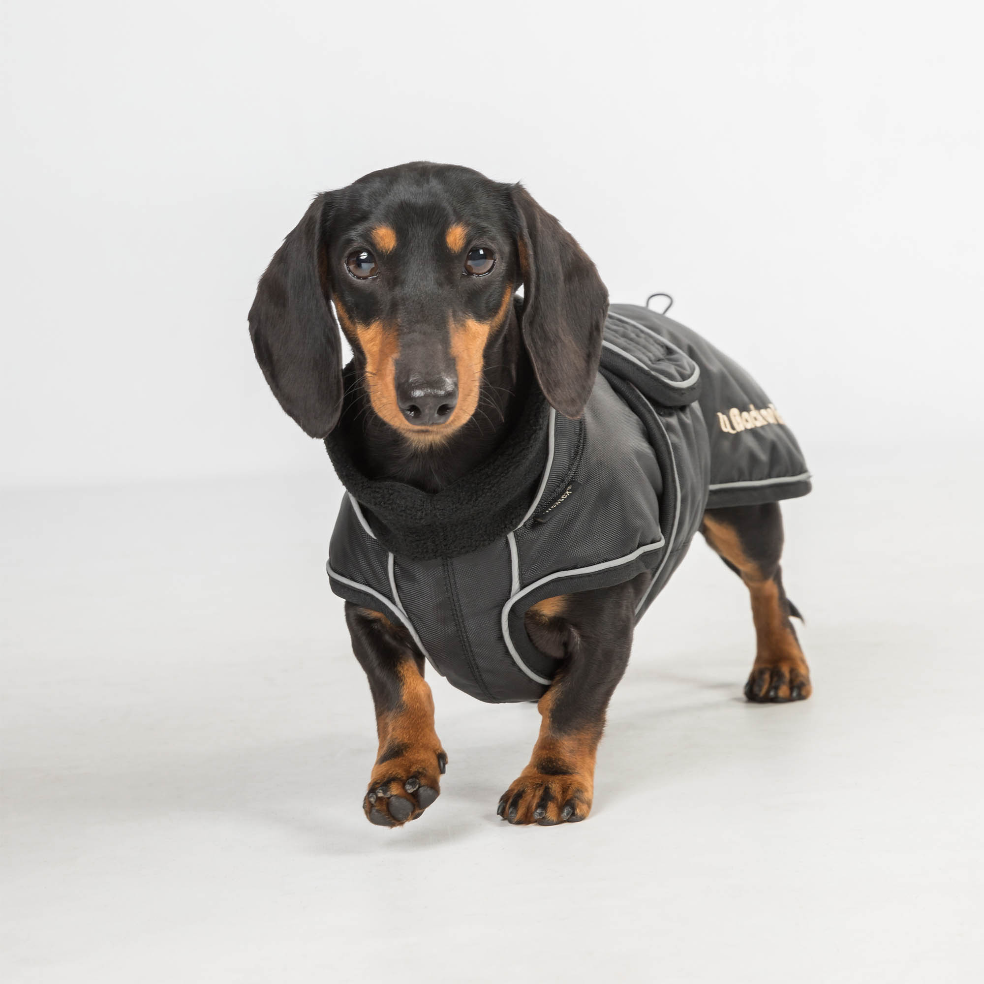 Back on Track Buddy Hundemantel