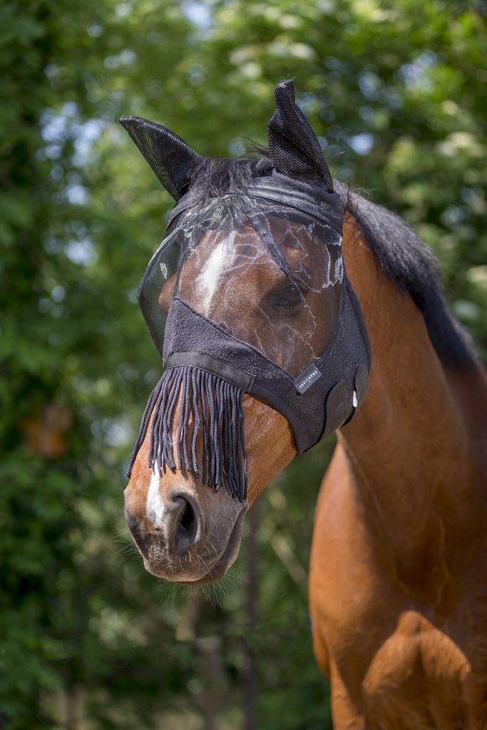 EQUITHÈME "Franges" Antifliegenmaske, schwarz