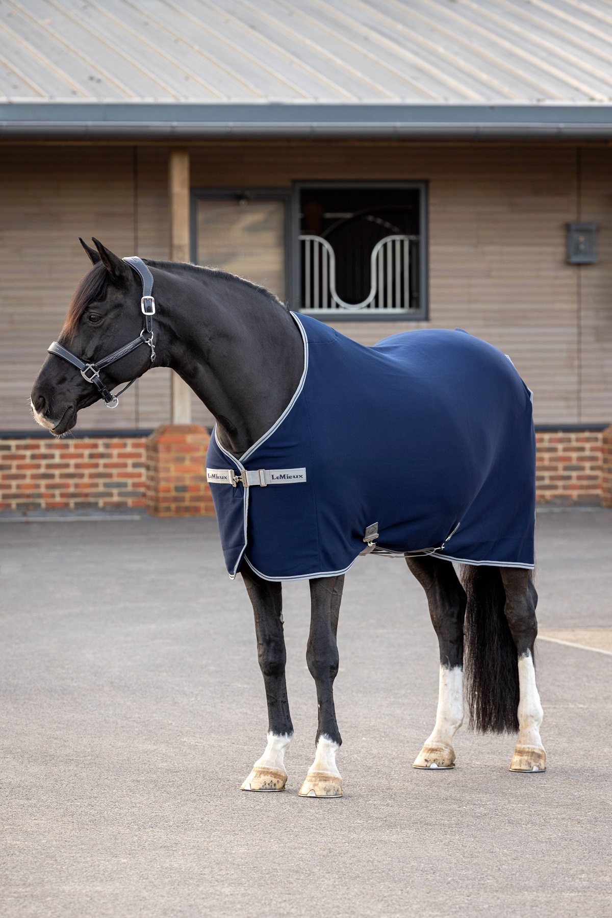 LeMieux Arika Jersey-Tek Fleece, Abschwitzdecke