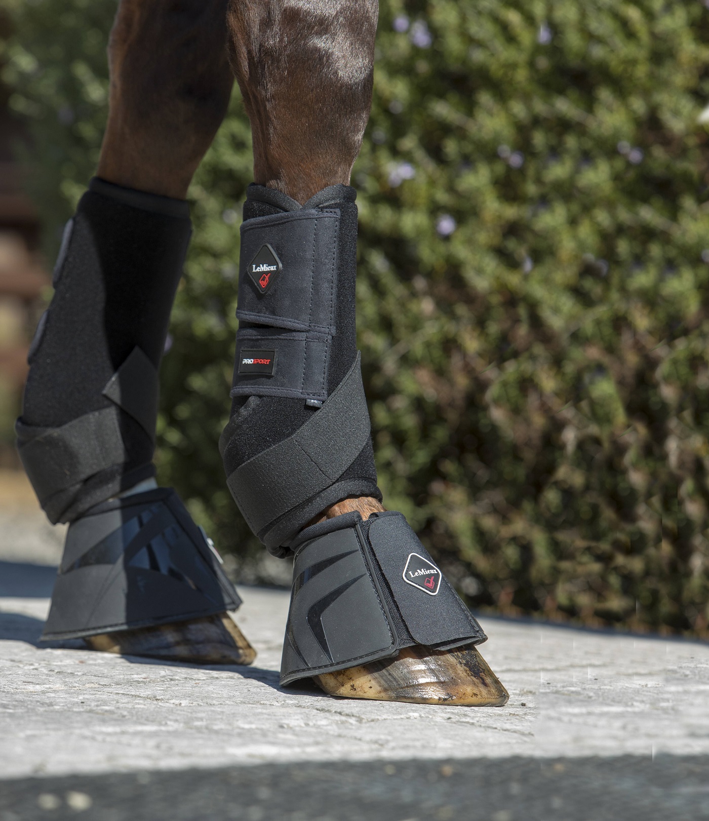 LeMieux Ultra Support Boots, schwarz, Arbeitsgamaschen, Gamaschen