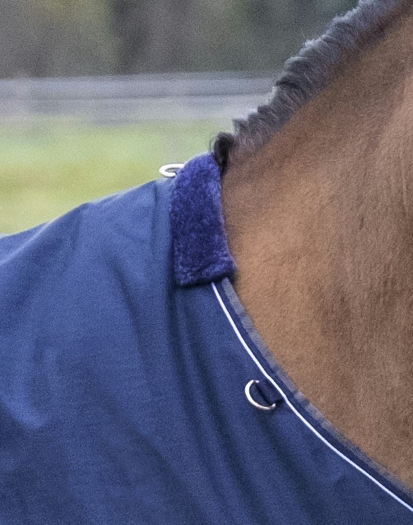 EQUITHÈME "TYREX 600 D" Decke, 150g Füllung, Pferdedecke, marineblau/grau, Weidedecke