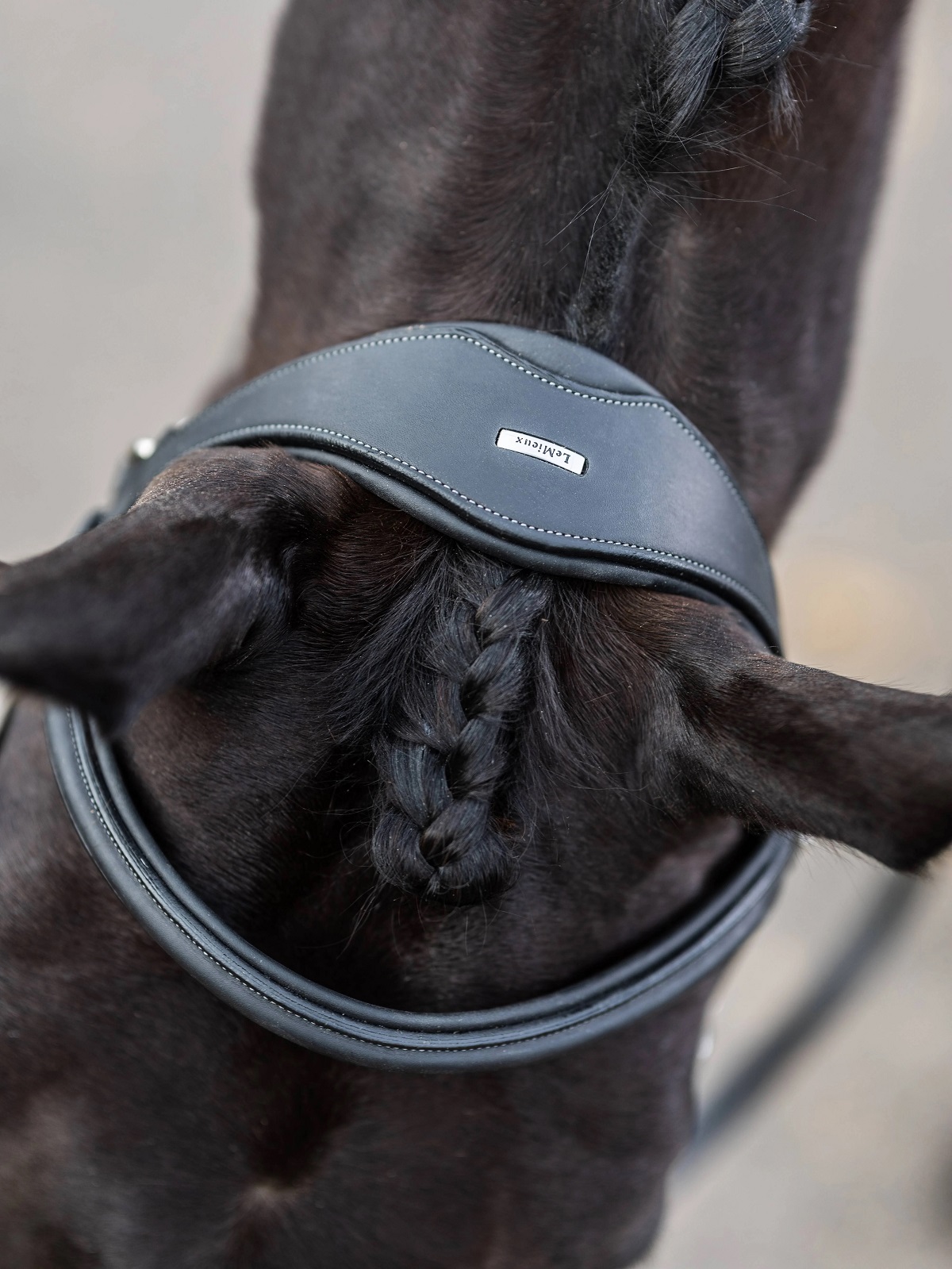 LeMieux Work Bridle, Arbeitstrense, Trense