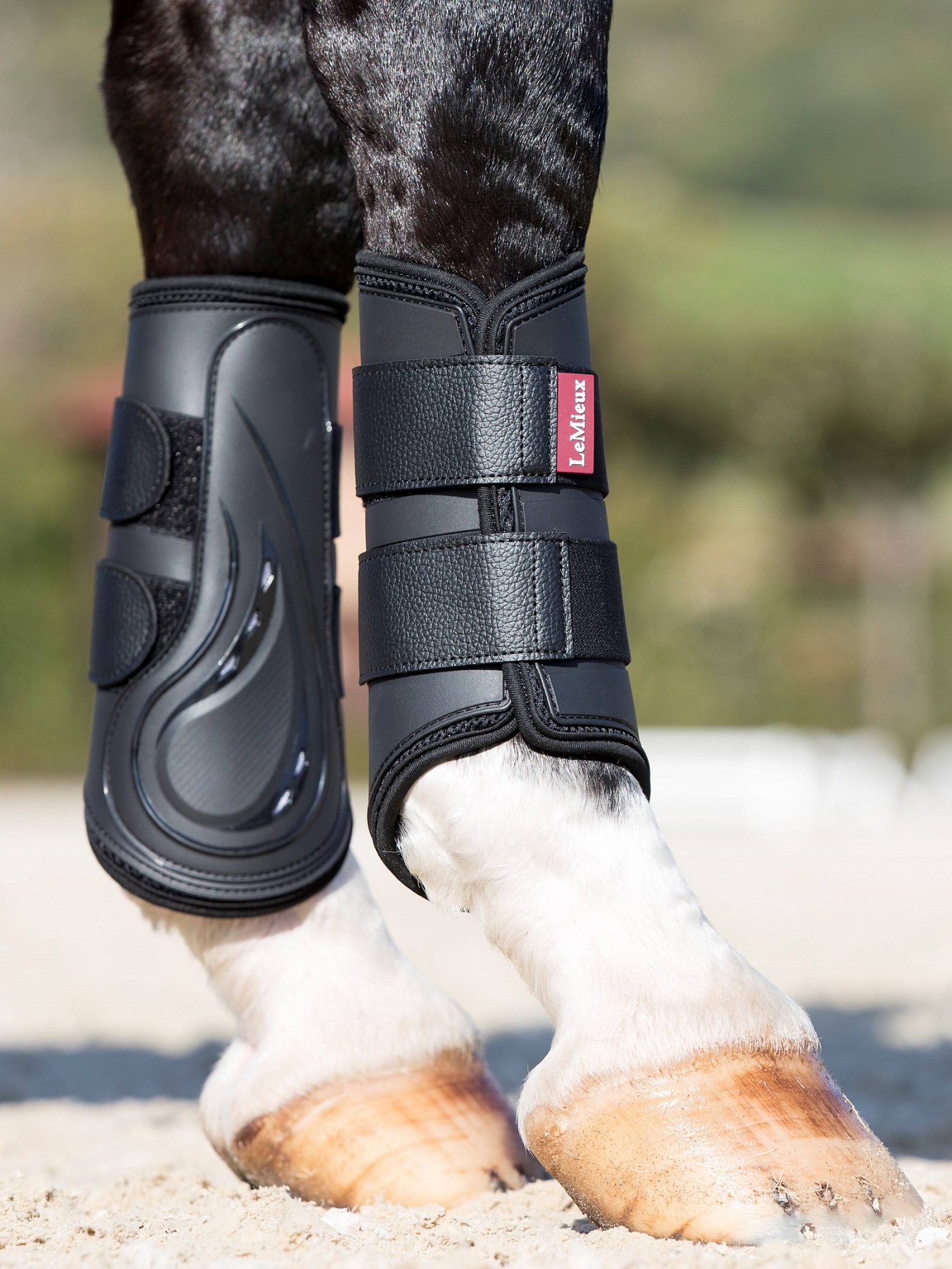 LeMieux ProShell Brushing Boots, Gamaschen, Arbeitsgamaschen, Dressurgamaschen