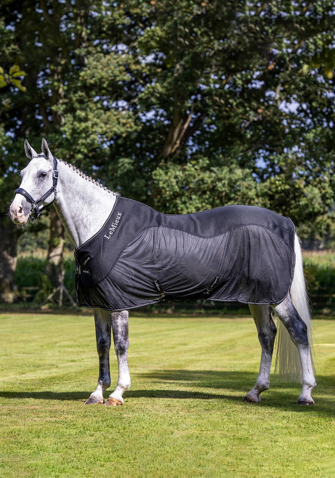 LeMieux Kudos Mesh Sports Cooler Rug, Abschwitzdecke