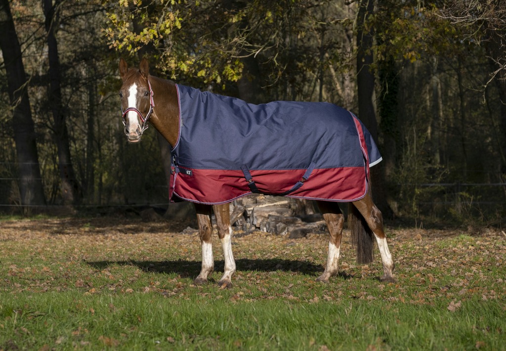 EQUITHÈME "TYREX 1200D" High-Neck Decke, 300g Füllung, marineblau/bordeaux, Weidedecke, Pferdedecke