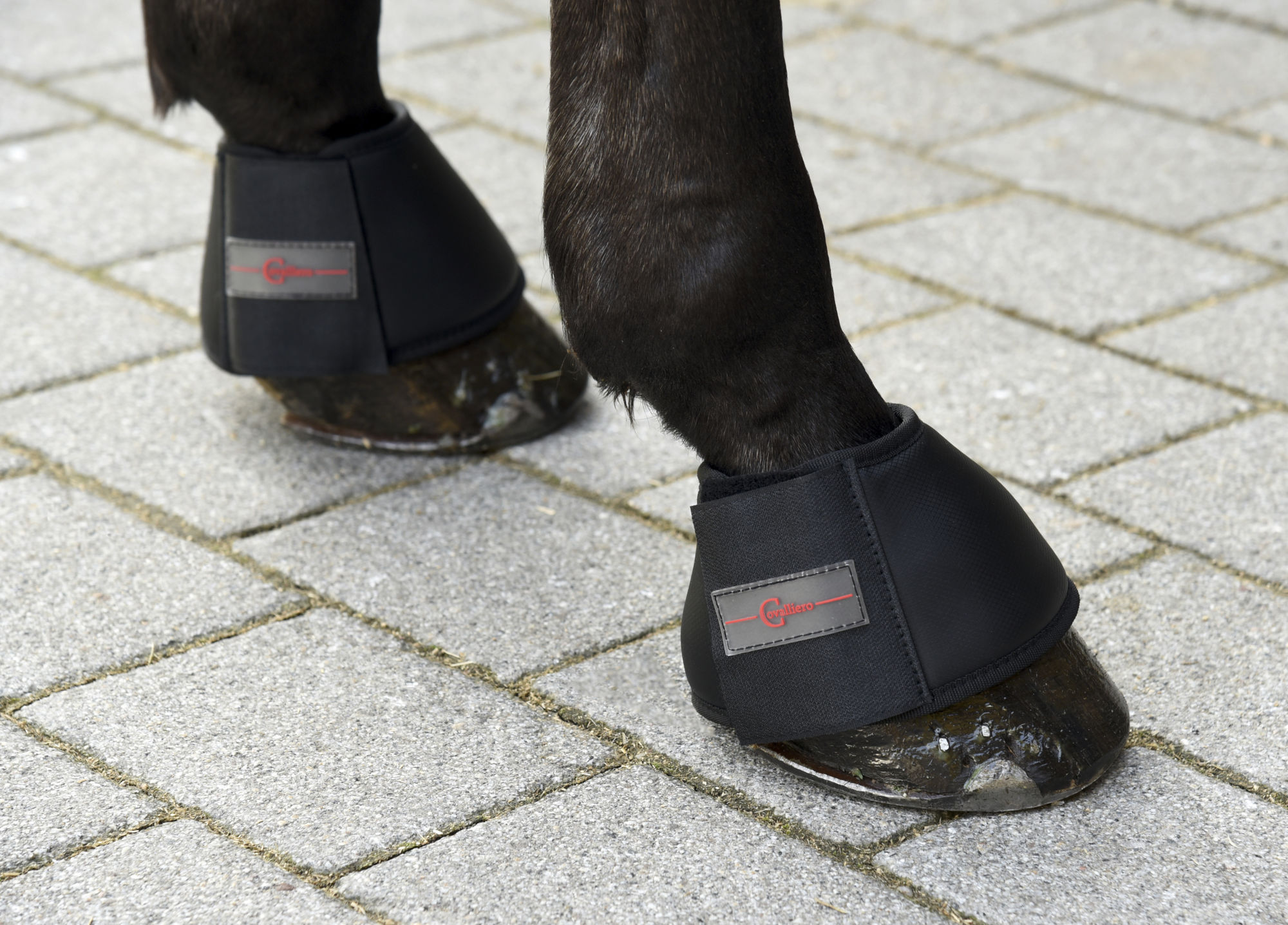 Covalliero Springglocken Protecto, schwarz, 2er-Set