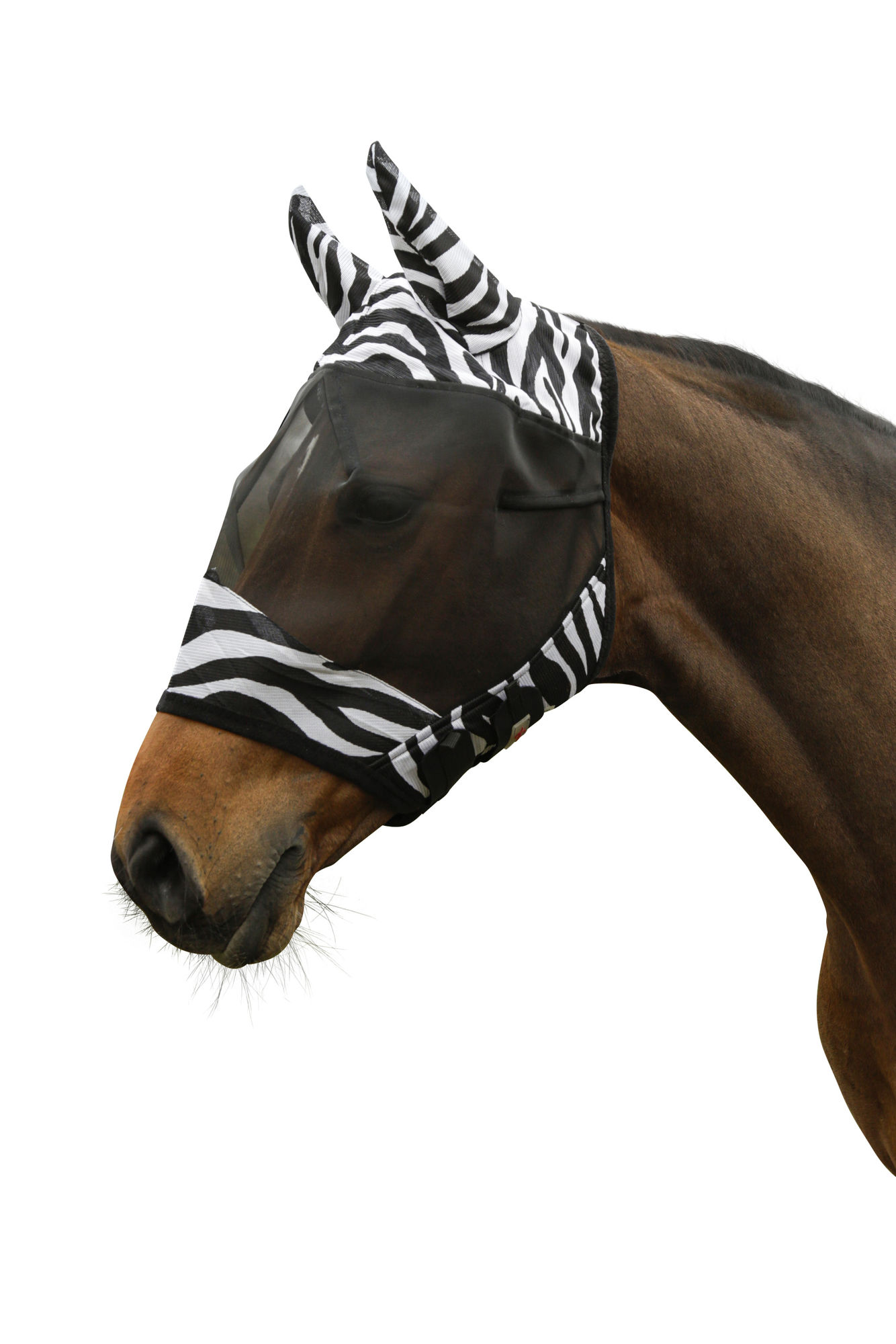 Covalliero Fliegenschutzmaske "Zebra", inkl. Ohrenschutz, weiß/schwarz