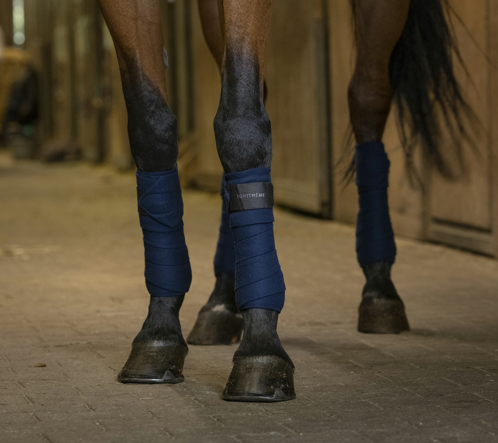 EQUITHÈME Polobandagen, 3 m