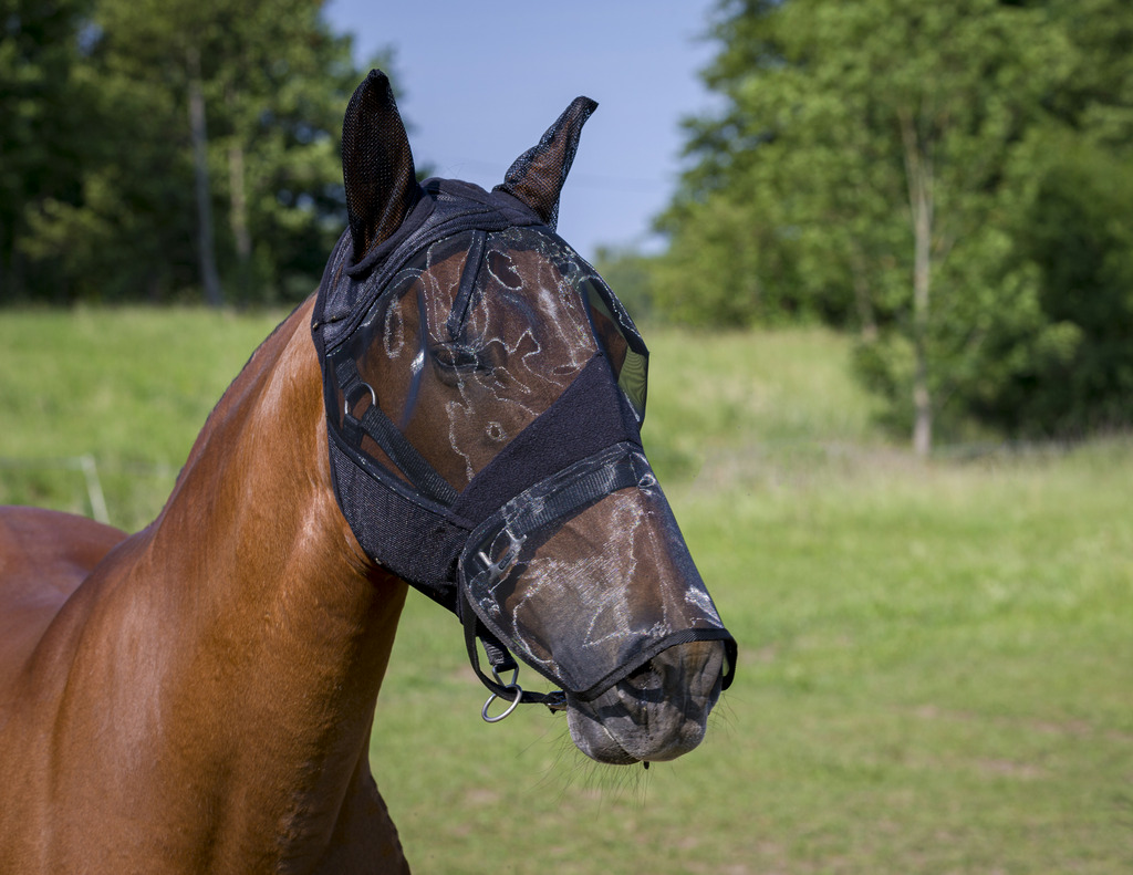 EQUITHÈME "2in1" Antifliegenmaske