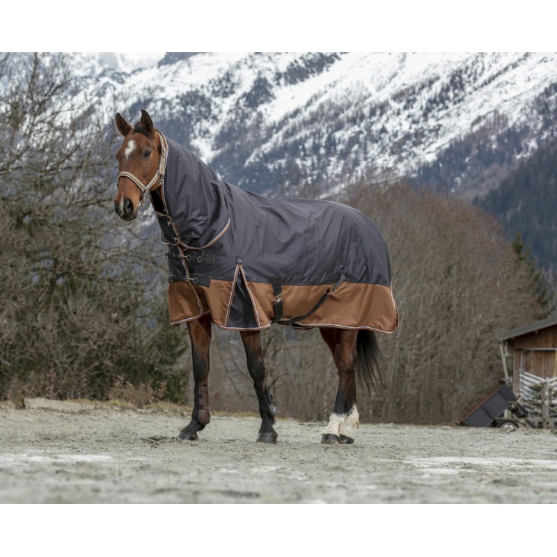 EQUITHÈME TYREX 600D "Aisance" Combo Decke, 300g Füllung, grau/braun, mit Halsteil, Weidedecke