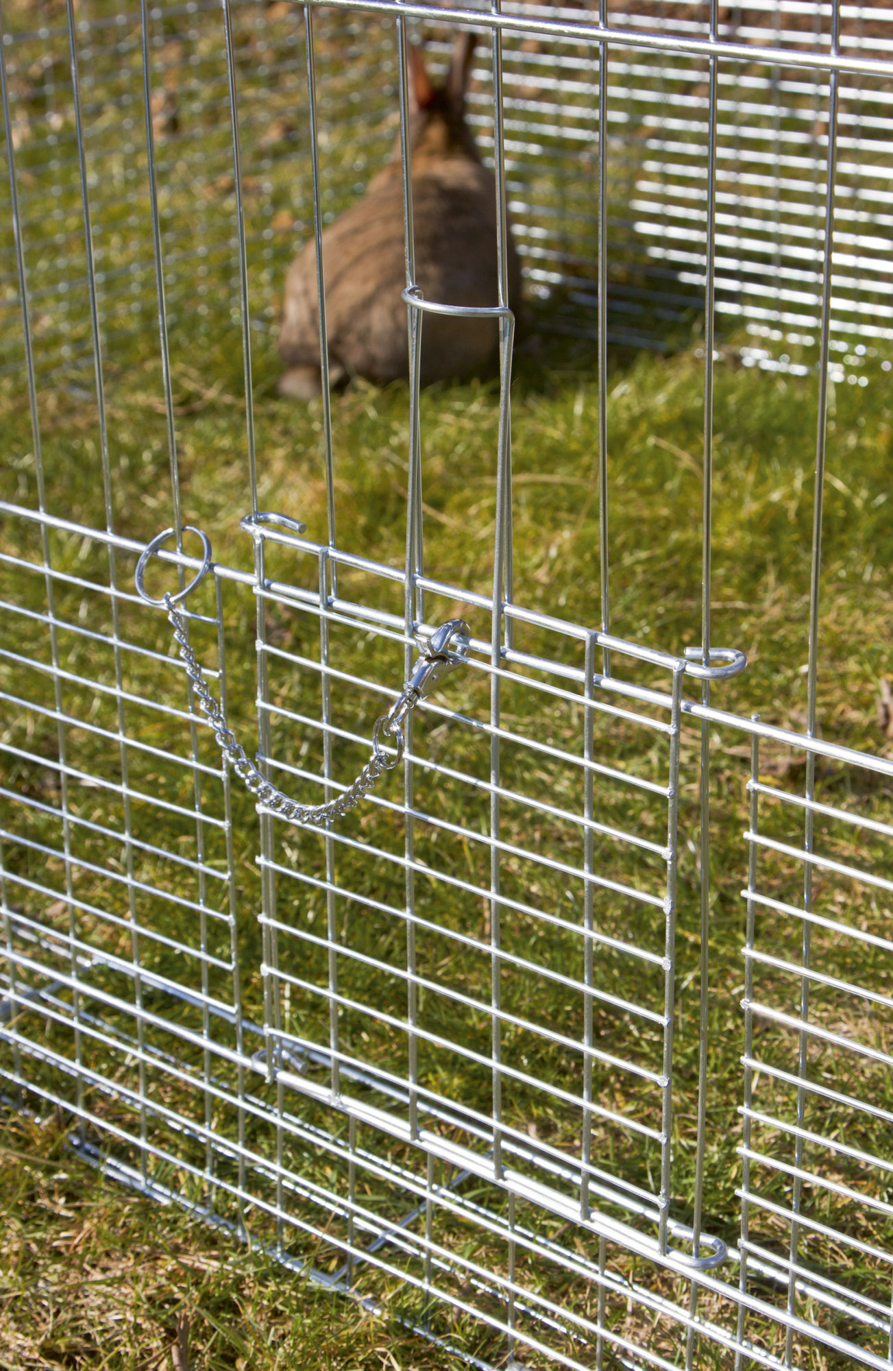 Kerbl Jungtier-Freilaufgehege mit Ausbruchssperre, 144 x 112 x 60 cm, Metall verzinkt