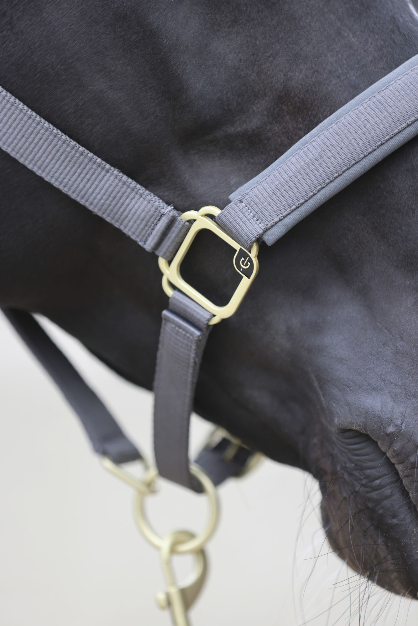 Covalliero Halfter Classy