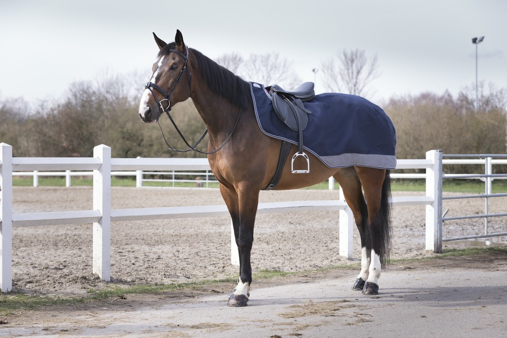 EQUITHÈME "TYREX 600D", Nierendecke, marineblau/grau, Polycotton Futter, Ausreitdecke