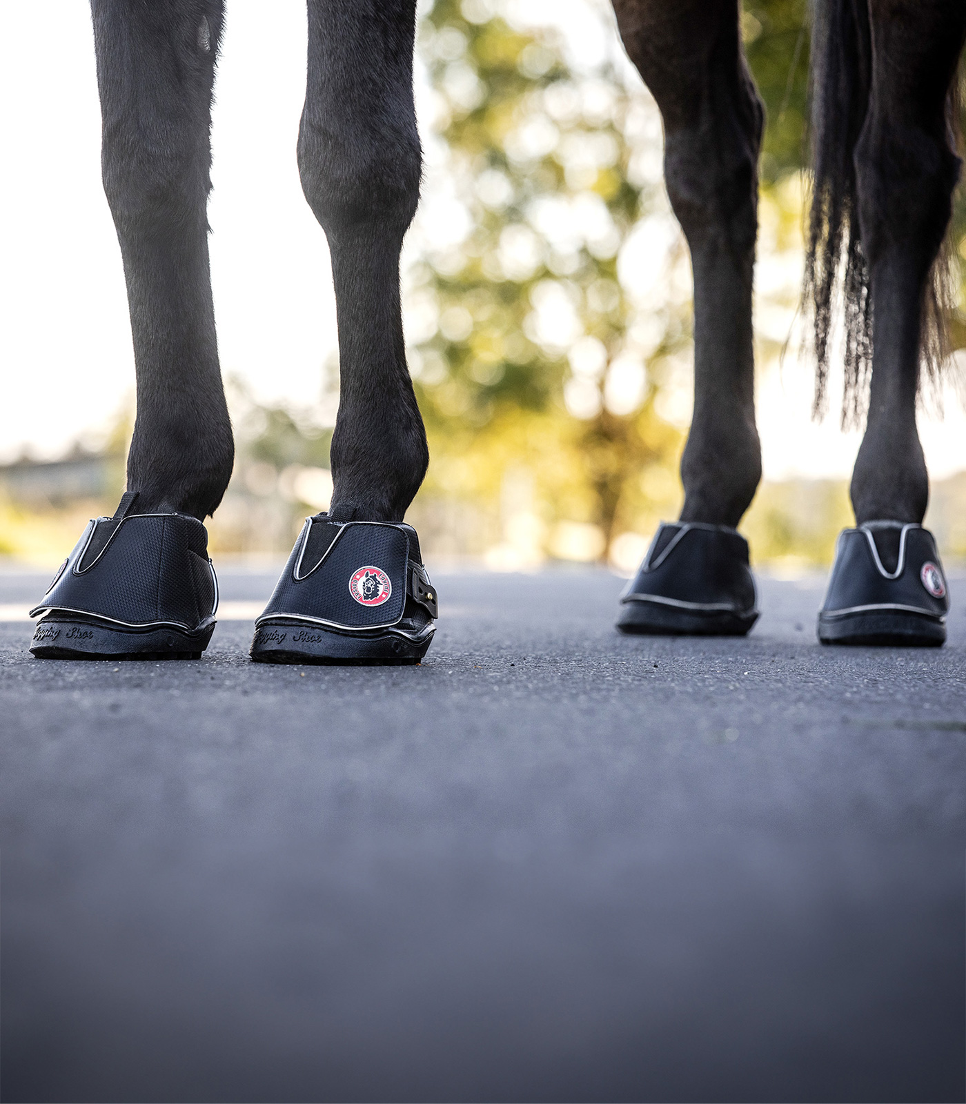 Equine Fusion Active Jogging Shoe