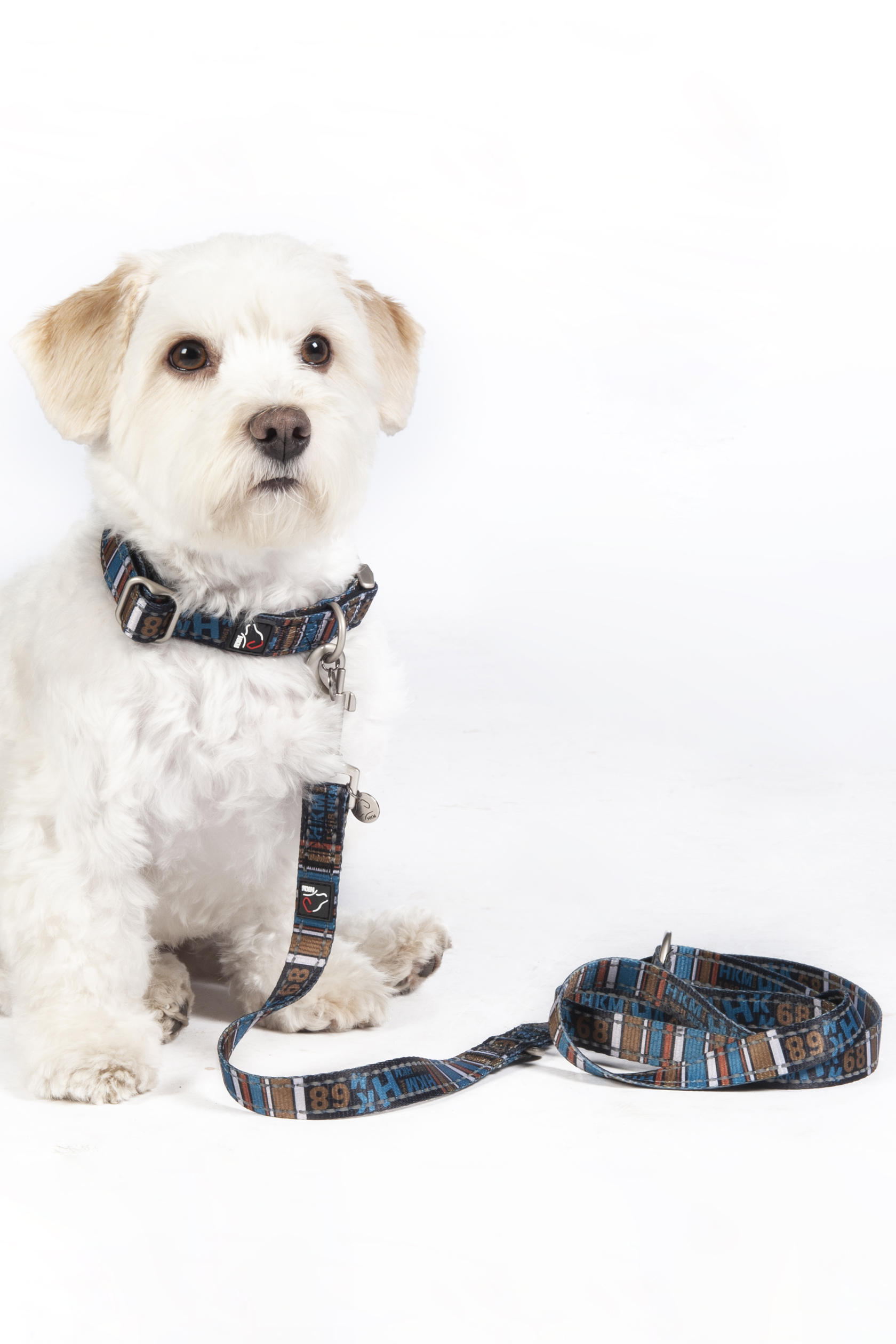 HKM Hundetrainingsleine "Anam Cara", bedruckt, Nylon, 200 cm