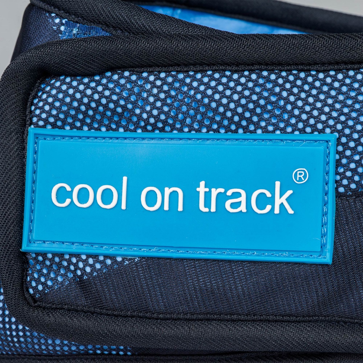 Cool on Track Cooling Bandana, blau