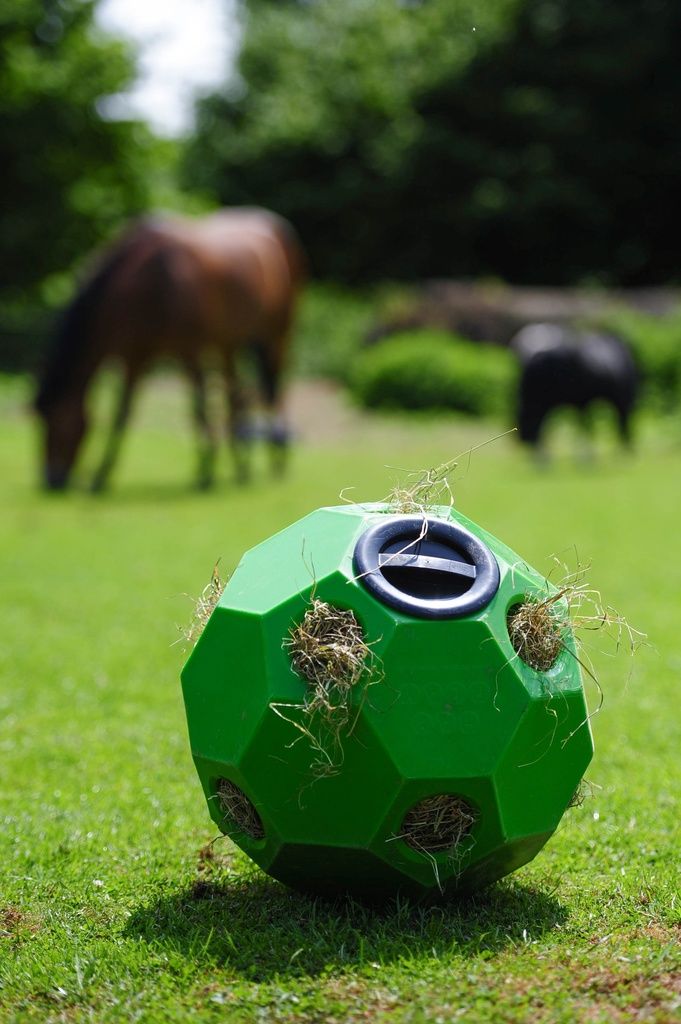 USG Spiel- und Fütterungsball "Happy Hay Play" gr. Löcher, 70 mm