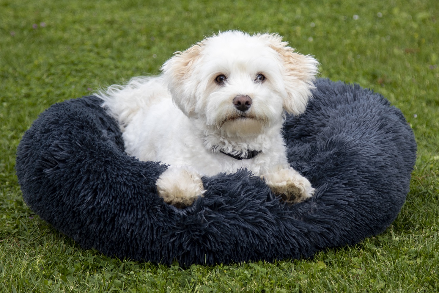 Hundebett "Fluffy"