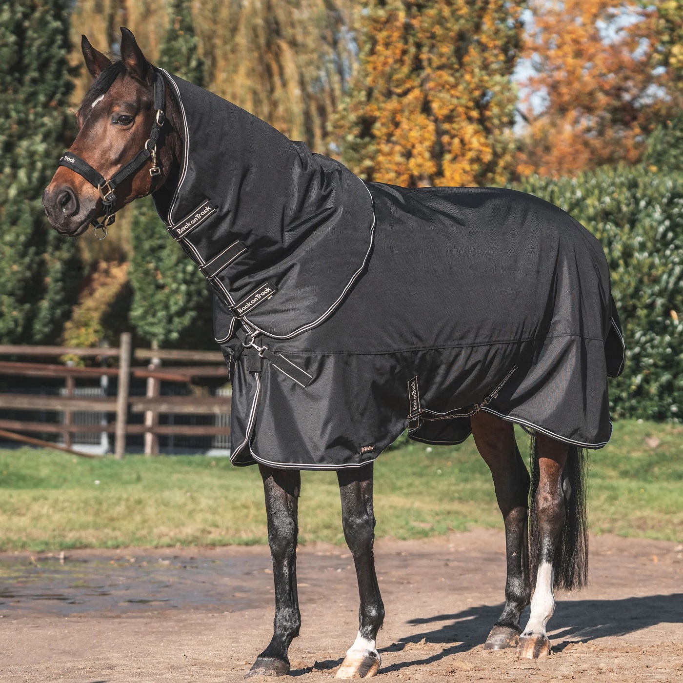 Back on Track Obsidian Turnout Decke, schwarz
