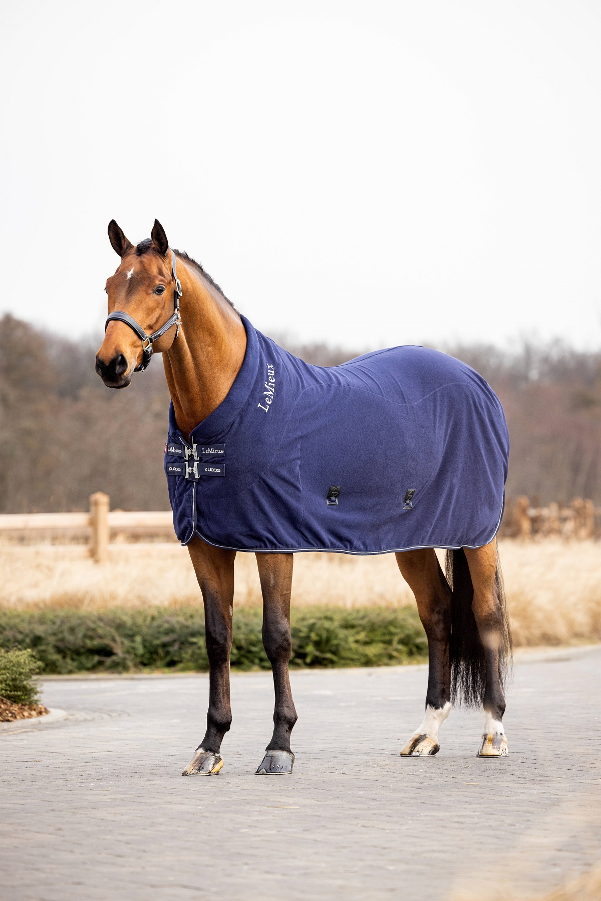 LeMieux Kudos Fleece Cooler Rug, Abschwitzdecke