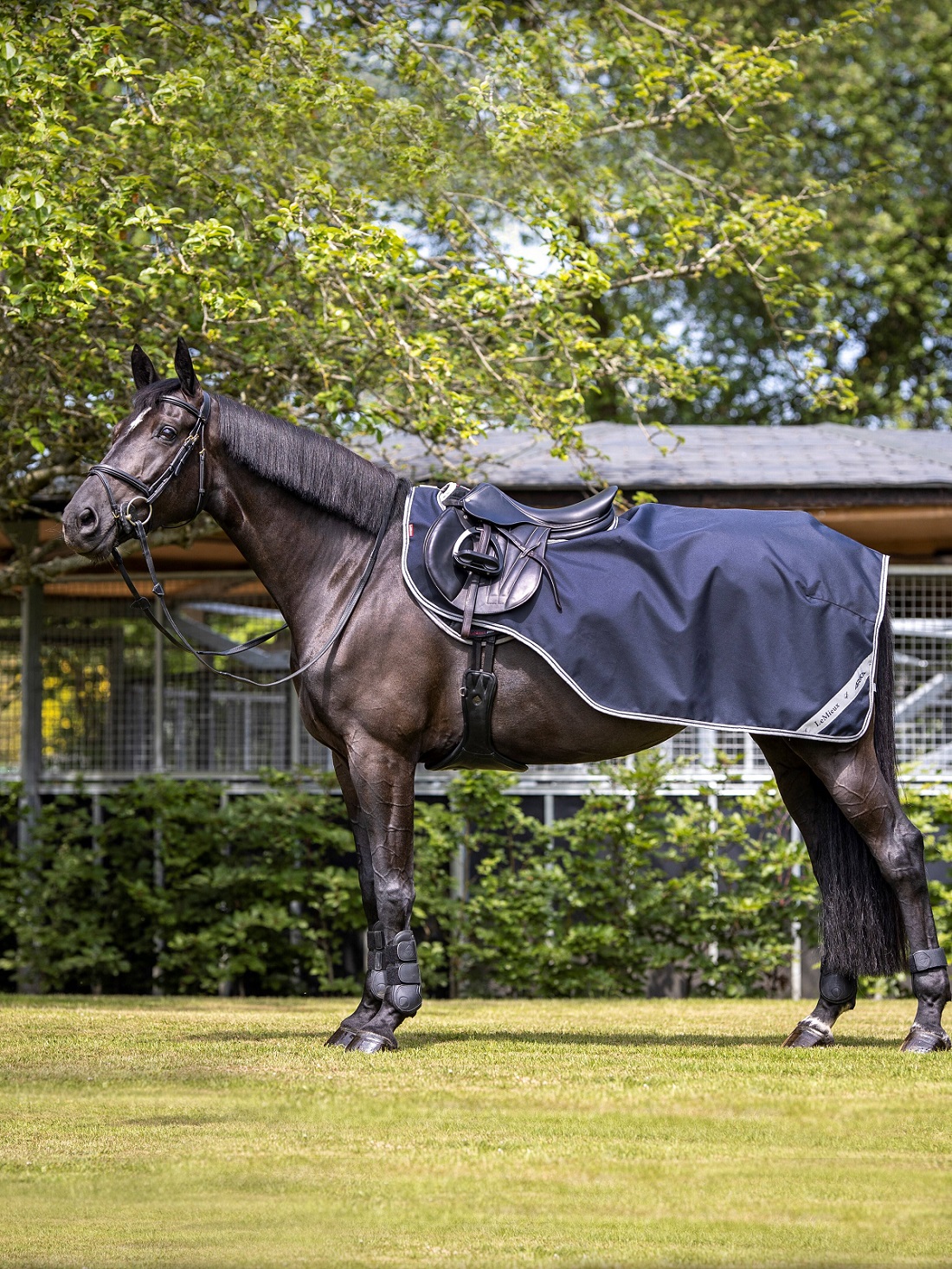 LeMieux Arika Exercise Sheet, Ausreitdecke, navy