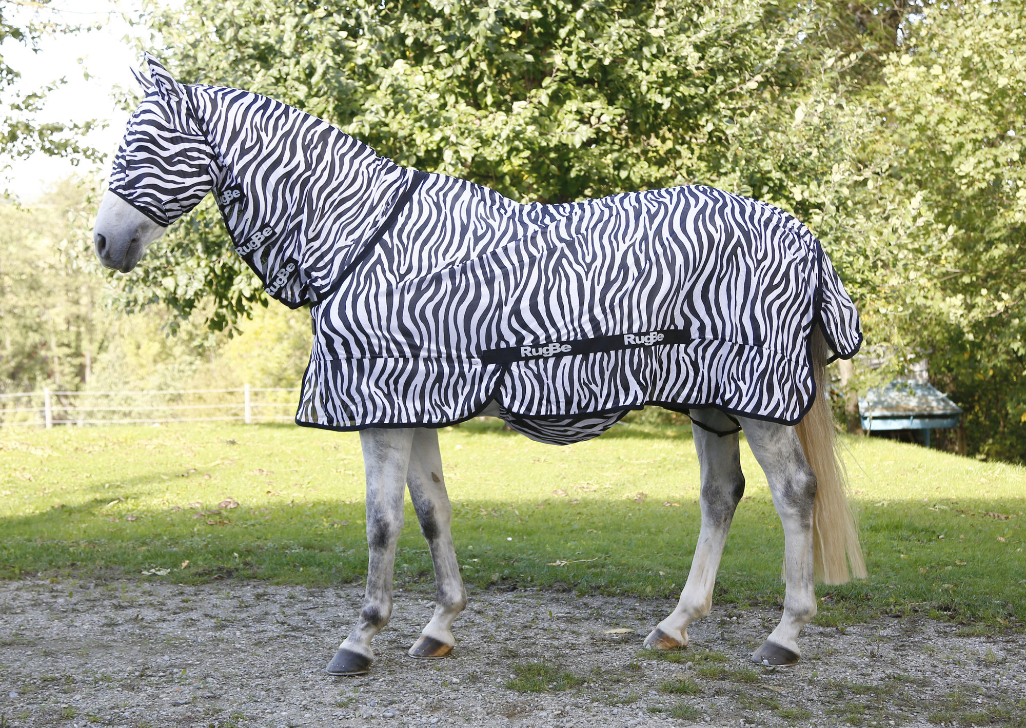 Covalliero Fliegendecke Zebra, weiß/schwarz, inkl. Halsteil