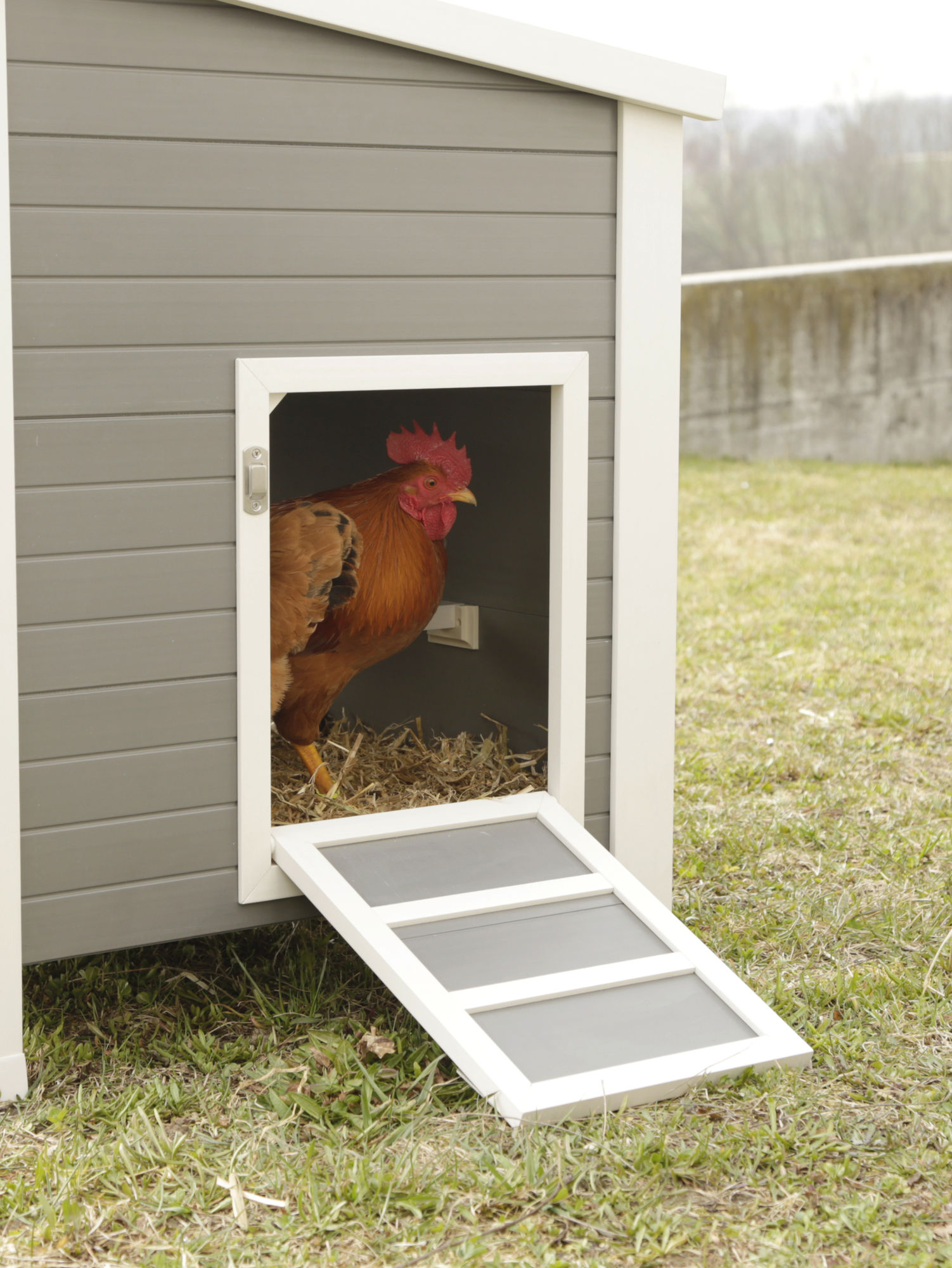 Kerbl ECO-Kunststoffstall "Barney", Hühnerstall, 137 x 73 x 83 cm, weiß/grau