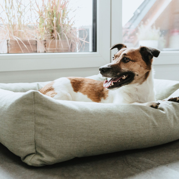 Hunter Hundesofa Inari
