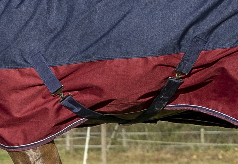 EQUITHÈME "TYREX 1200D" Combo Decke, 200g Füllung, marineblau/bordeaux, Weidedecke, Pferdedecke