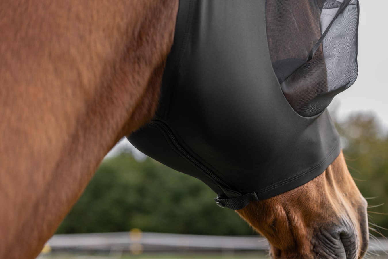 Covalliero Fliegenschutzmaske FinoStretch Zipper,navy,Pony,Sale
