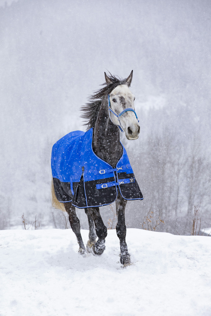 EQUITHÈME TYREX 1200D "Aisance" High Neck Decke, 0g Füllung, Pferdedecke, blau/schwarz, Weidedecke