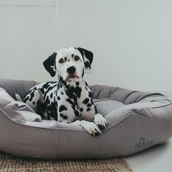 Hunter Hundesofa Lancaster