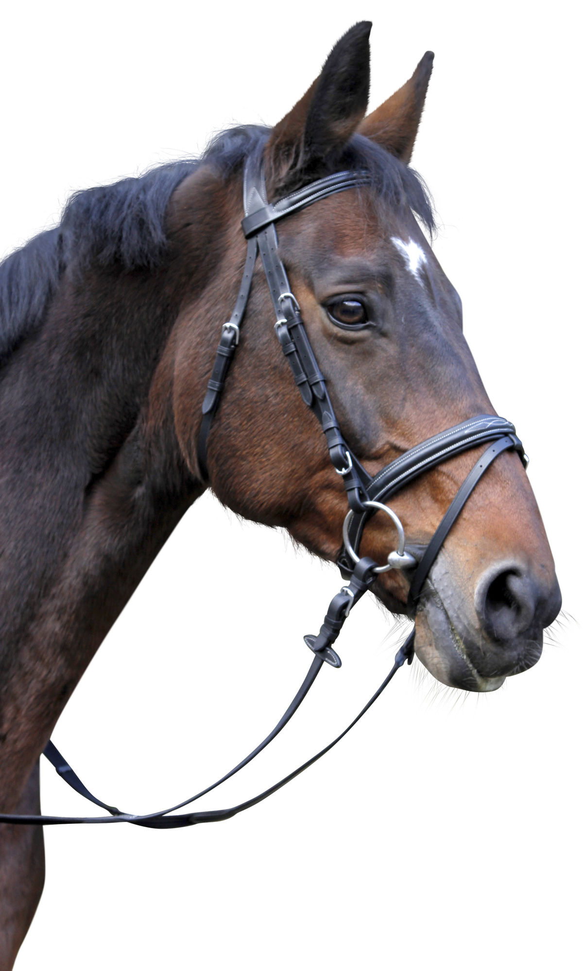 Covalliero Trensenzaum Classic, Leder, schwarz