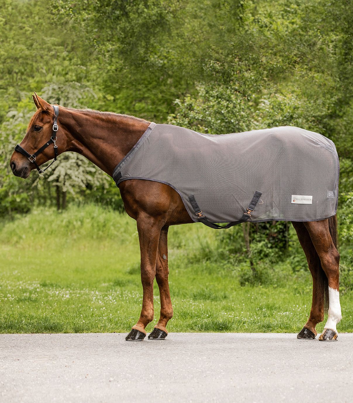Waldhausen Fliegen-Führmaschinendecke "Comfort"