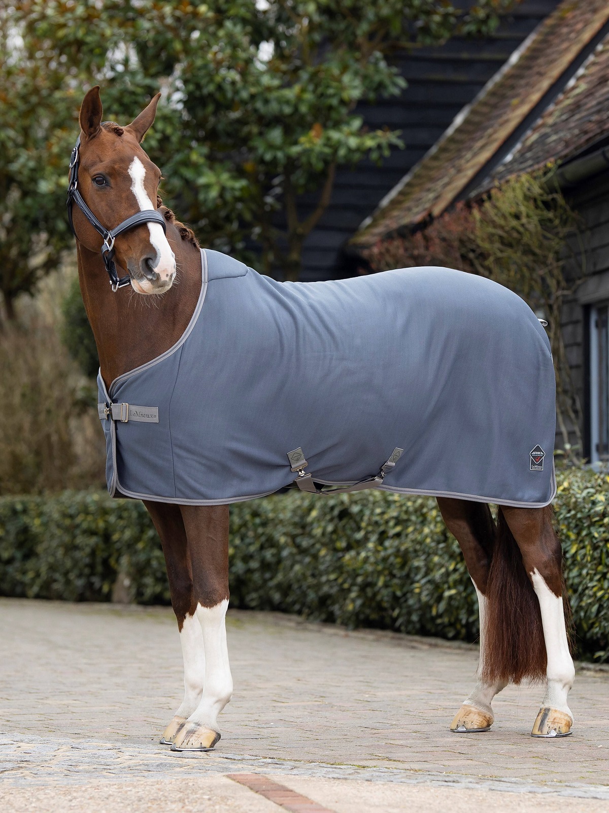 LeMieux Arika Jersey-Tek Fleece, Abschwitzdecke