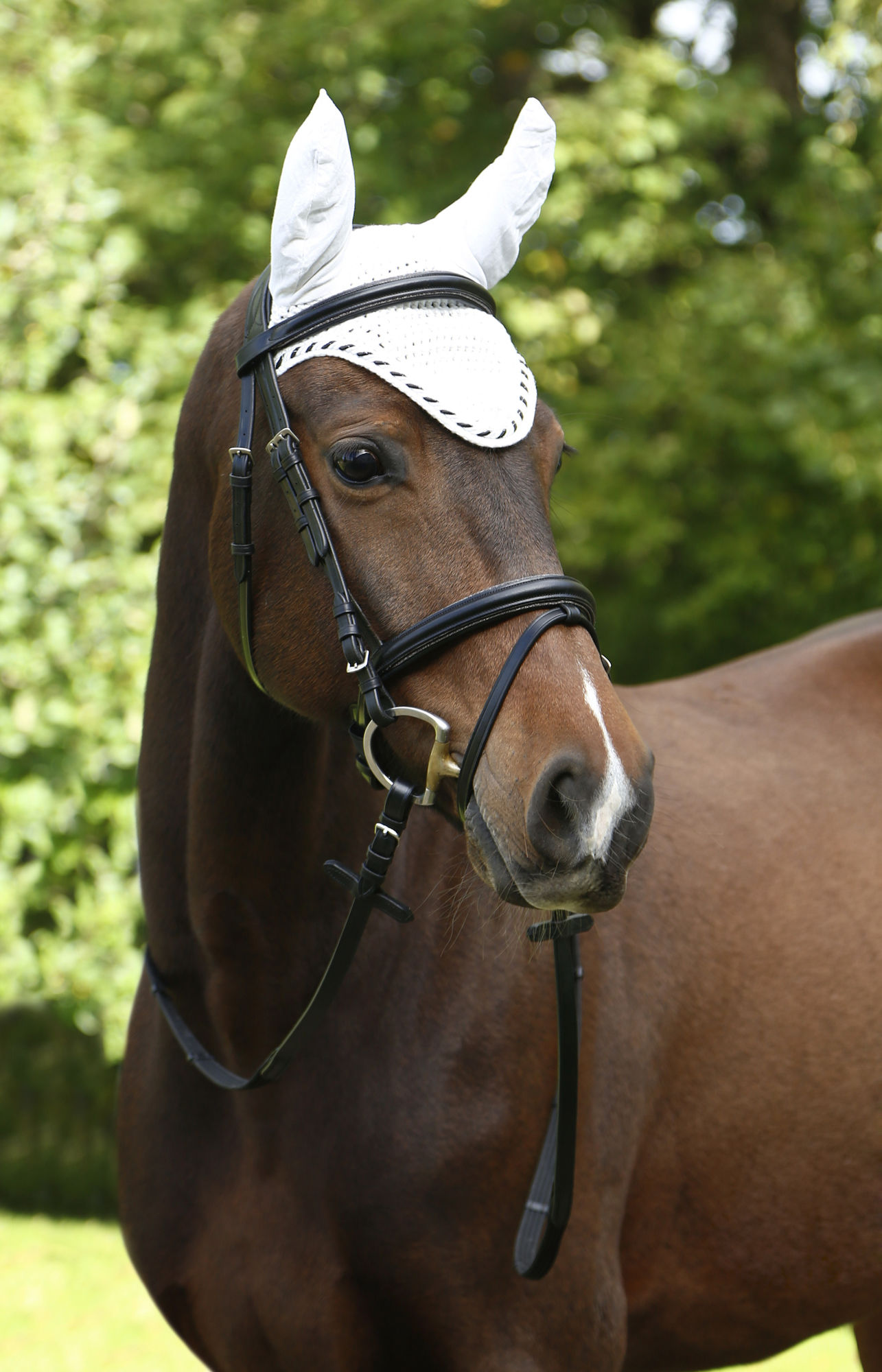 Covalliero Fliegenhaube Classic, Full