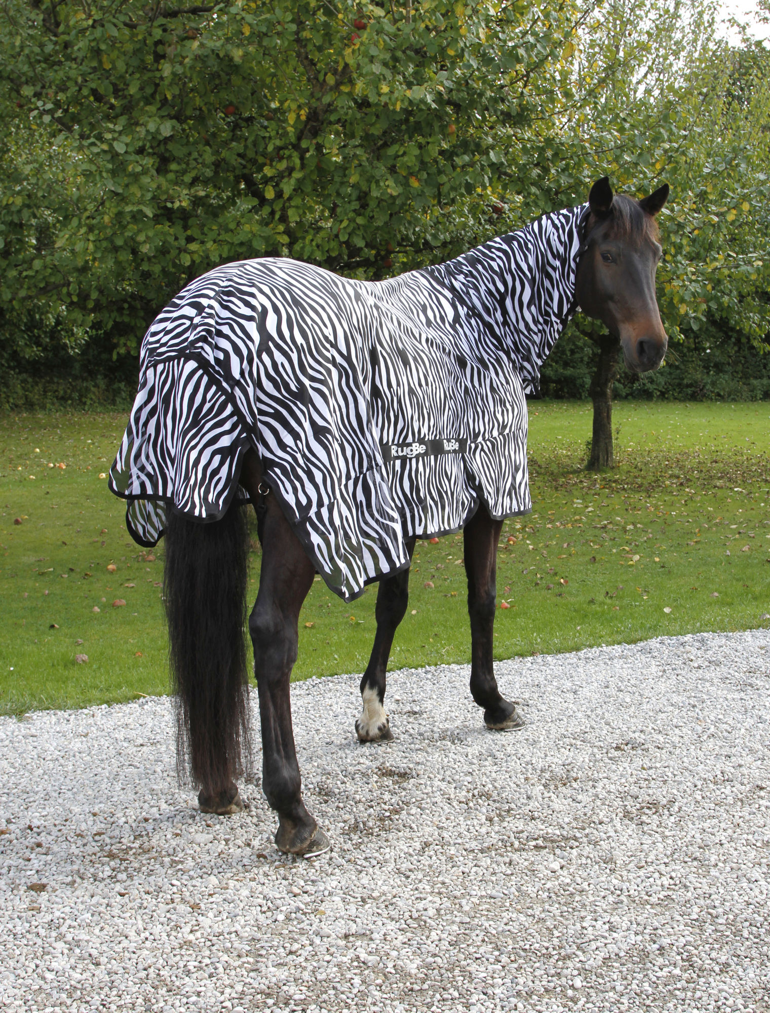 Covalliero Fliegendecke Zebra, weiß/schwarz, inkl. Halsteil