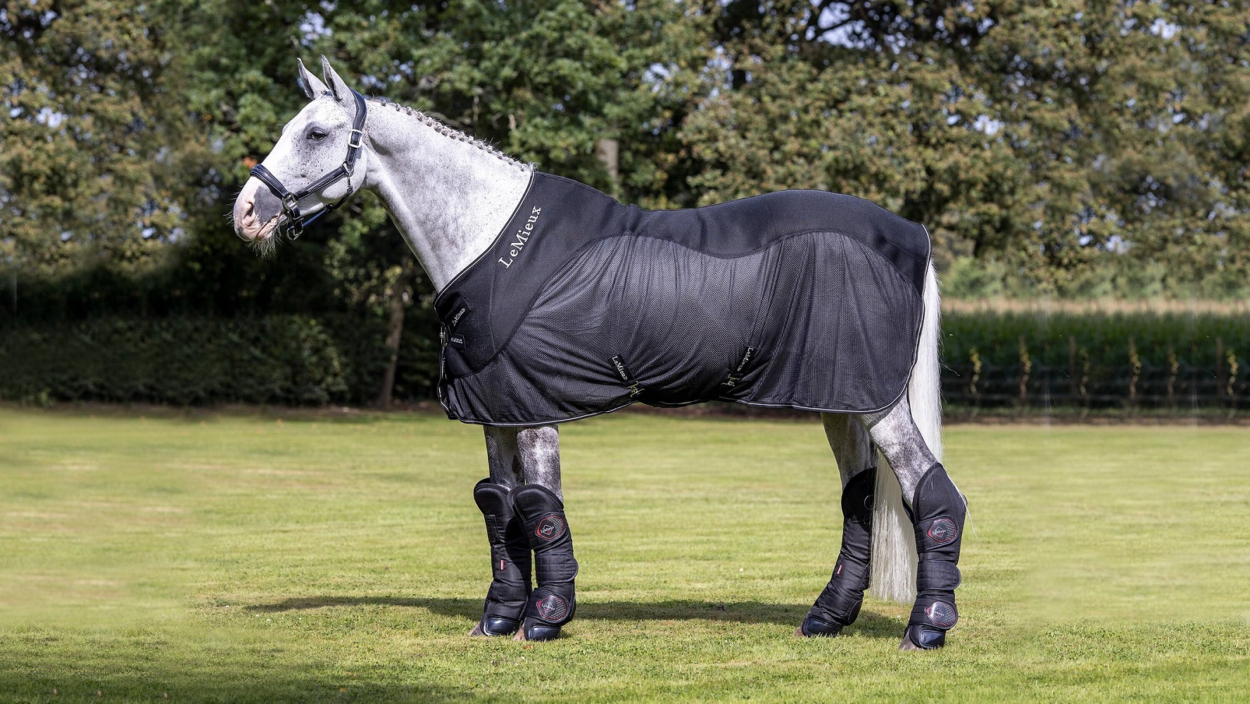 LeMieux Kudos Mesh Sports Cooler Rug, Abschwitzdecke