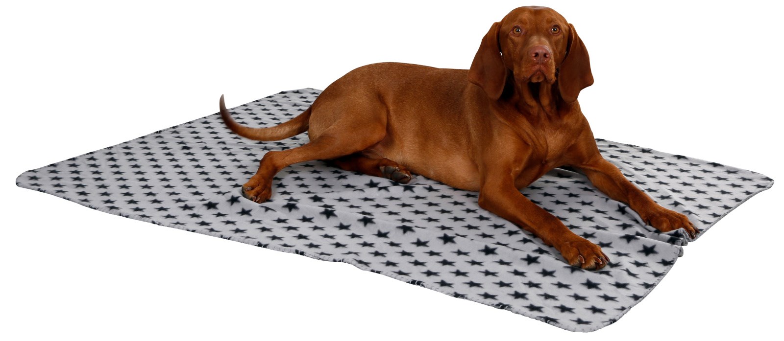 Kerbl Hundedecke "Stella",mit Sternenmotiv, grau