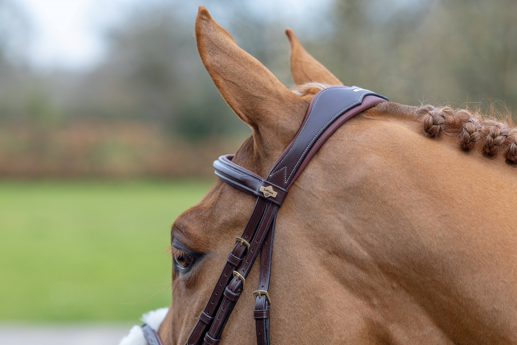 LeMieux Kudos Grackle Bridle, Arbeitstrense, Trense
